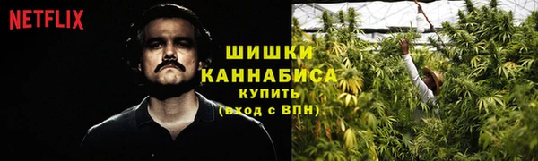 a pvp Новозыбков