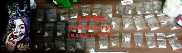 a pvp Новозыбков