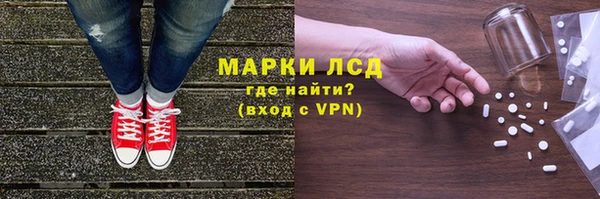 a pvp Новозыбков
