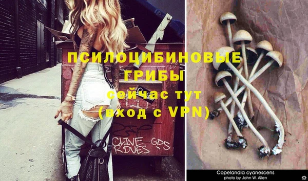 соль курить ск Новокубанск