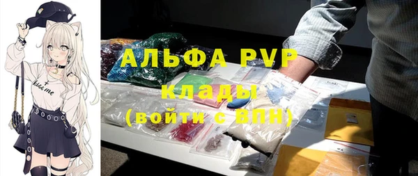a pvp Новозыбков