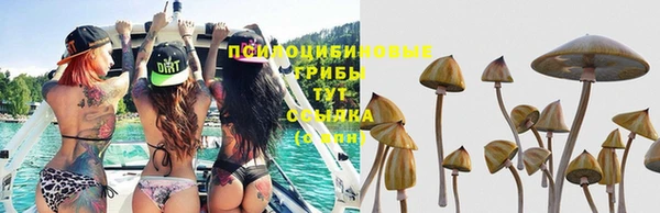 дживик Нязепетровск
