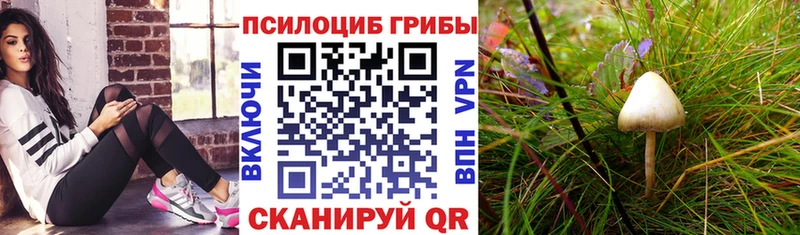 omg маркетплейс  Новая Ляля  Псилоцибиновые грибы мицелий  купить наркоту 